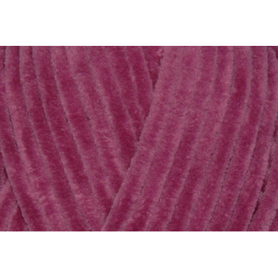 DOLPHIN BABY HIMALAYA