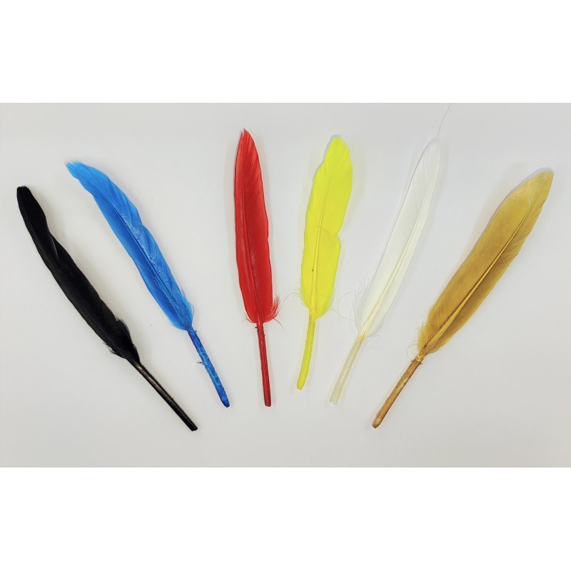 ΦΤΕΡΟ ΜΕΜΟΝΩΜΕΝΟ 15 cm