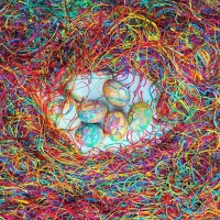 ΒΑΦΗ ΑΥΓΩΝ ΜΕ ΚΛΩΣΤΕΣ ΦΛΟΣ