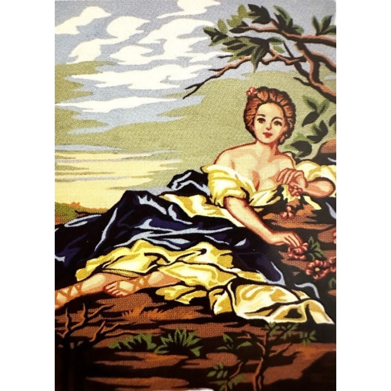 PRINTED EMBROIDERY FRAME 50 x 35 cm  (14.863)