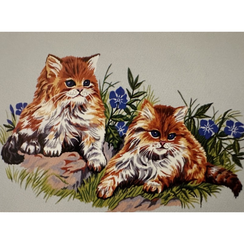 PRINTED EMBROIDERY FRAME 50 x 38 cm  (14.864)